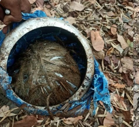 raipur,   Gattakal forest , Narayanpur 