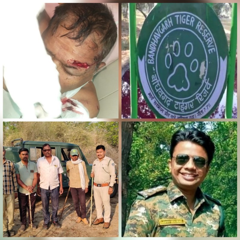 umaria, Senior driver, Bandhavgarh Tiger Reserve  