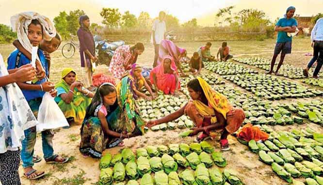 jagdalpur, Tendu leaf purchase , unseasonal rain