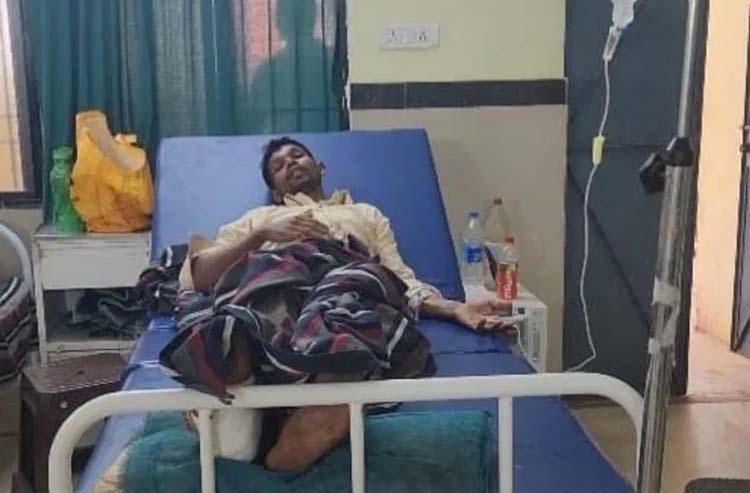 raipur,   female bear attacked ,  young man 