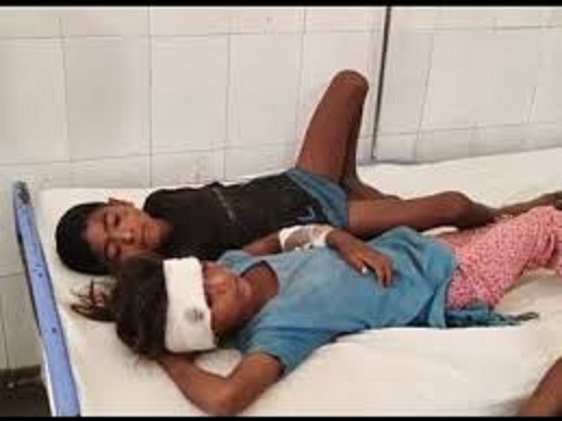 seopur, 9 people injured, Sheopur-Pali highway