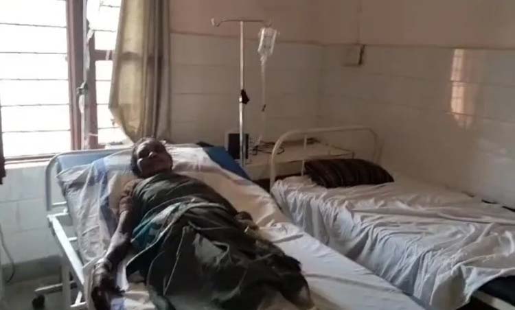 balod, Workers cleaning, attacked by bees,