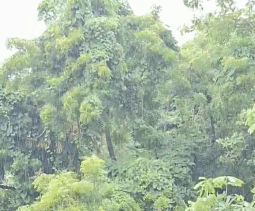 raipur, Monsoon , Chhattisgarh