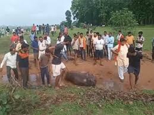 sidhi, 3 killed,bear attack  