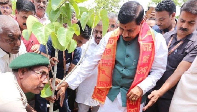 bhopal, Plantation,Maa Narmada Parikrama Path 