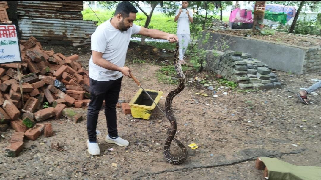 korba, Rescue   python, Banki Mogra 