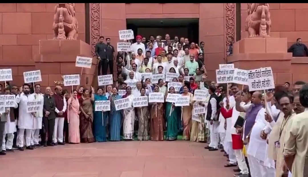 new delhi,NDA MPs protest , Dimple Yadav