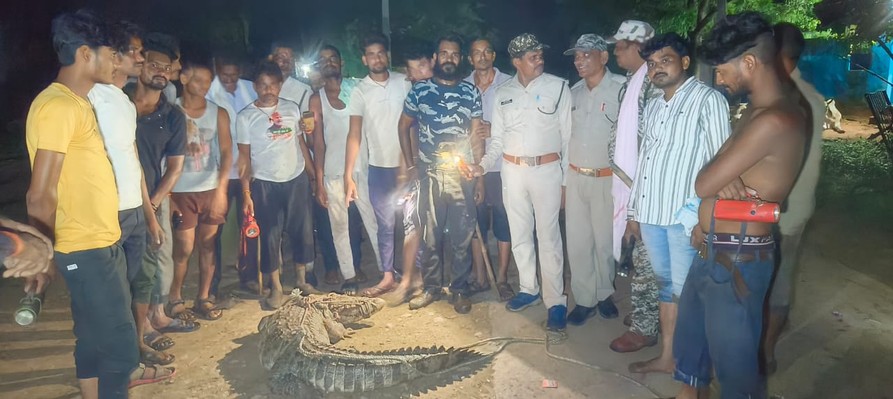 karera, Crocodile reached, Salaiya village 