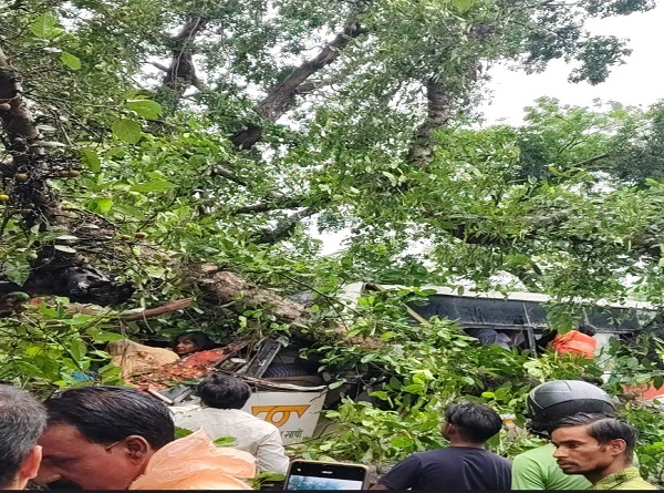 Barabanki,  tree fell  moving roadways bus , five died