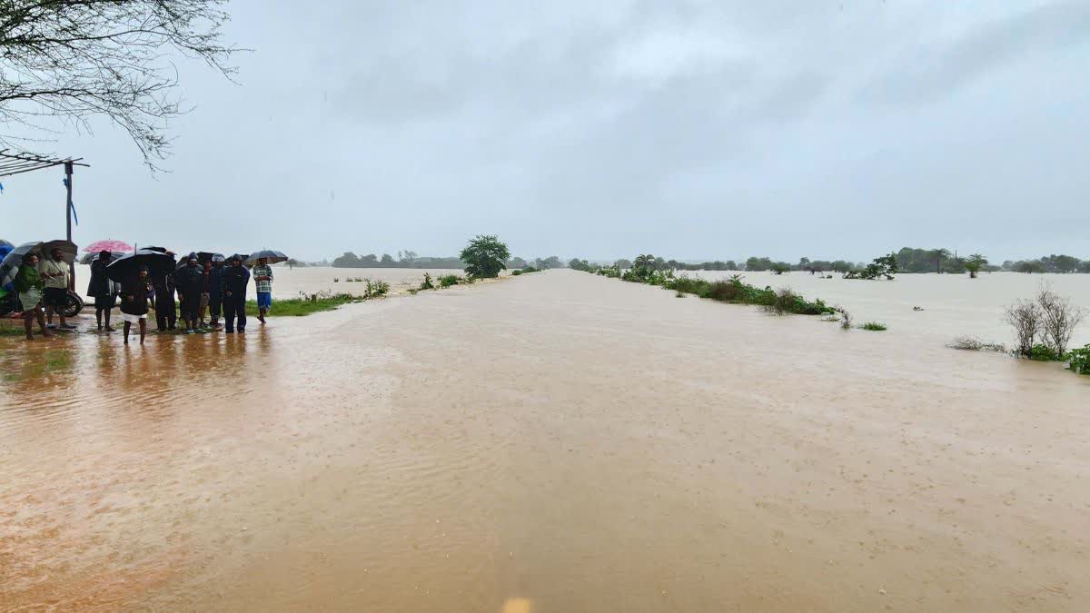 raipur, Continuous rain, Bastar division  