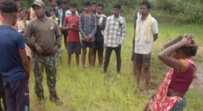 dantewada,Two twin brothers died ,Dhanikarka drain