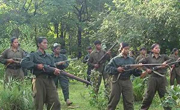 bijapur, Naxalites are busy , IG 