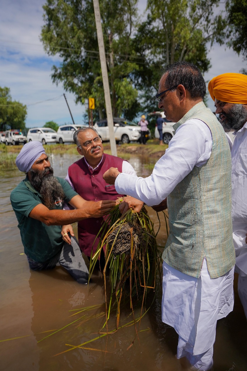 chandigarh,   Shivraj Chauhan, illegal mining  