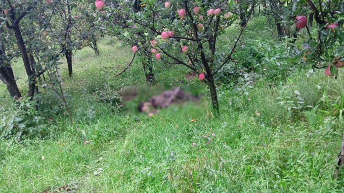 jammu, One terrorist killed, Kulgam encounter