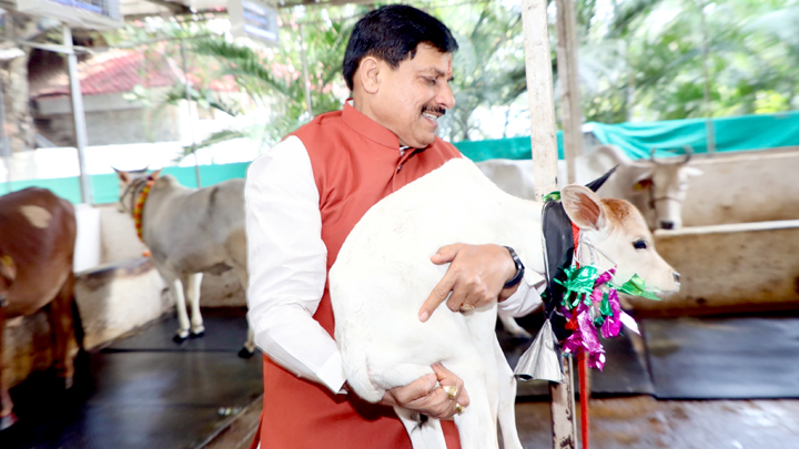 bhopal,  calf was born, Chief Minister