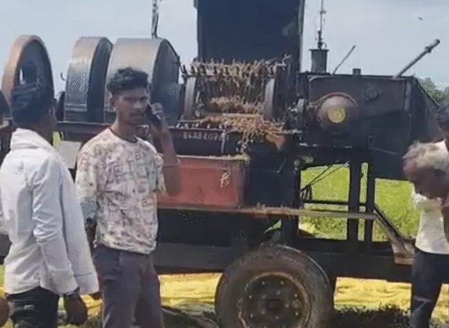 bhopal,   laborer died , harvesting soybeans