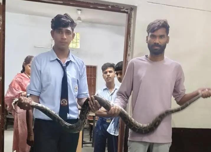 korba, giant eight-foot python ,student