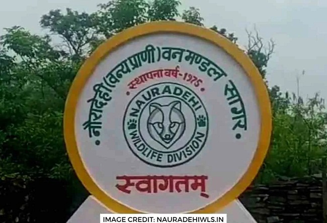 sagar, Major scam, compensation amount