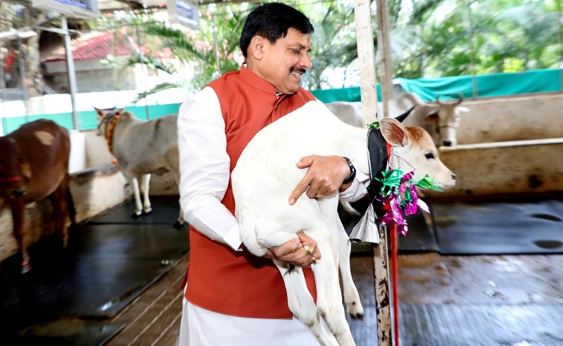 bhopal, Milk production , Madhya Pradesh 
