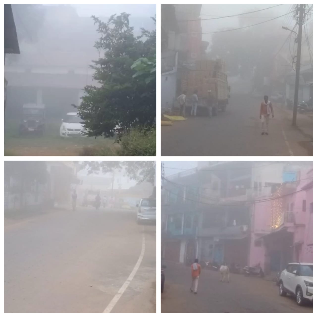 umaria,   effect of fog started , cold season  