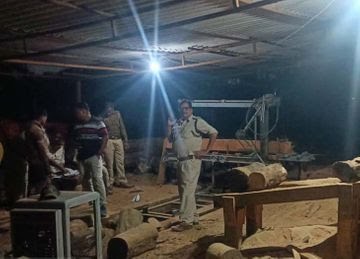 raigarh, Action taken against ,fake sawmill