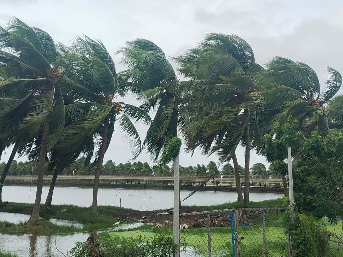 hydrabad, 16 Telangana districts,Montha