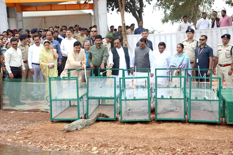 bhopal, Historic work , Madhya Pradesh