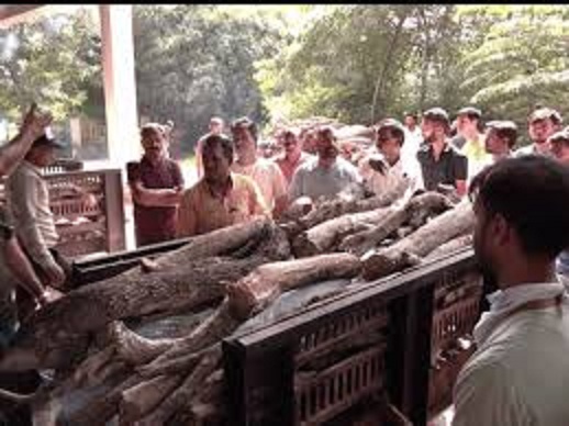 bhopal ,Ankit,  was cremated 