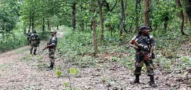 bijapur, Three Naxalites killed,security forces  