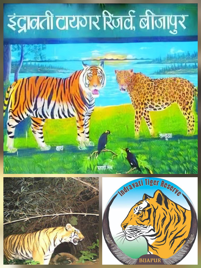 bijapur, Tiger identification, using AI technology