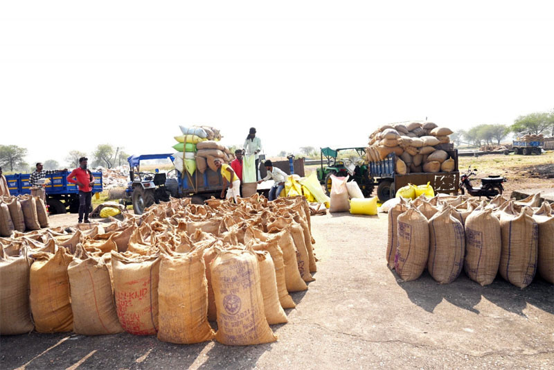 raipur,23.67 lakh quintals ,paddy procured 