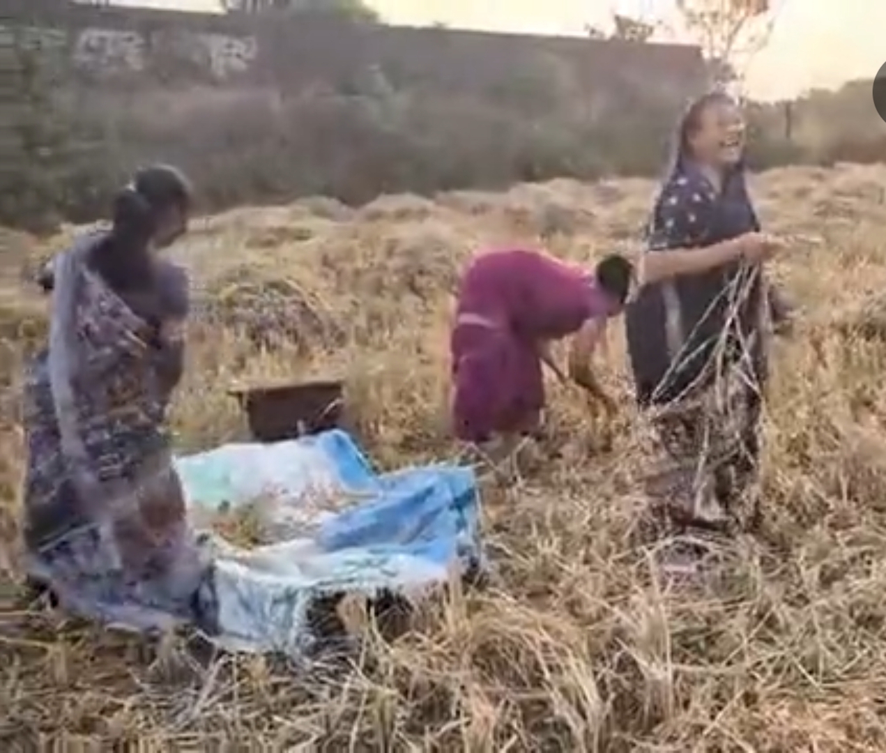 balrampur, Minister Ramvichar Netam , fields