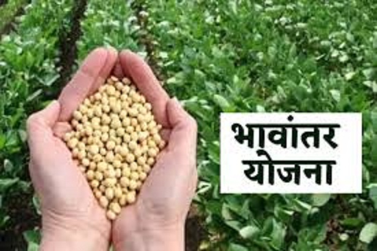 bhopal,   model rate ,soybean 