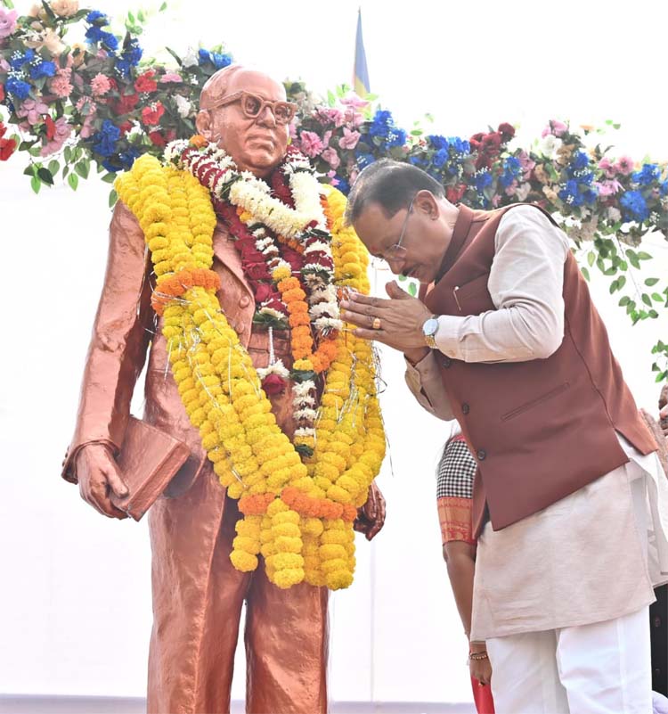 raipur, Our Constitution , Chief Minister Sai