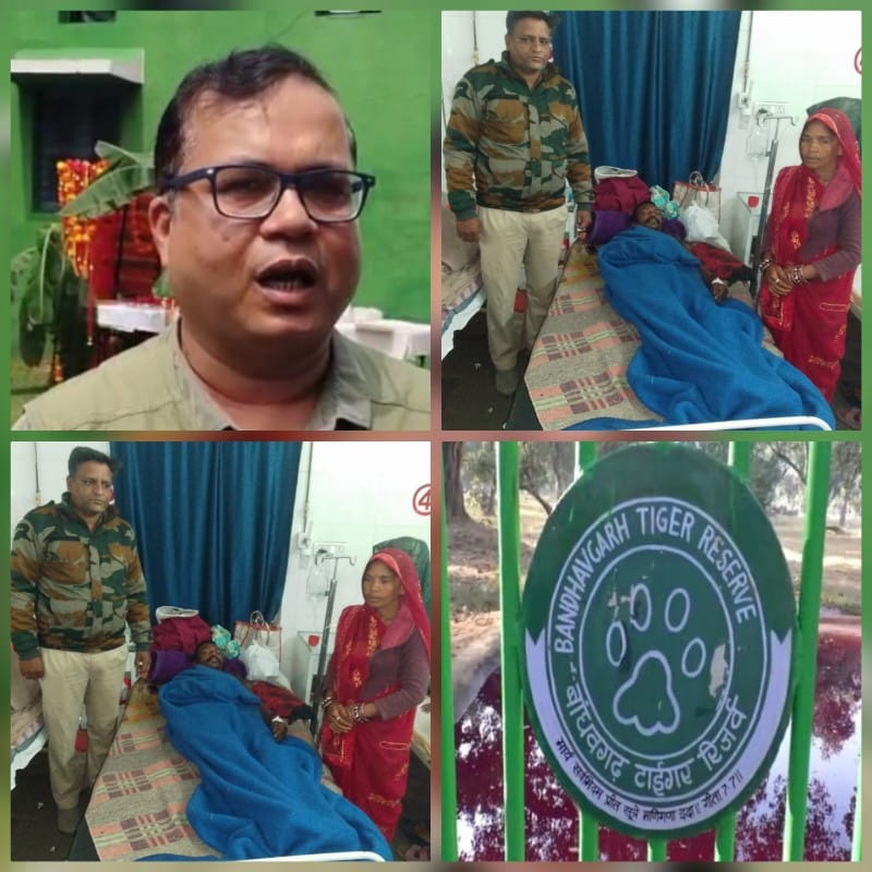 umaria, Villager injured , wild elephant attack  