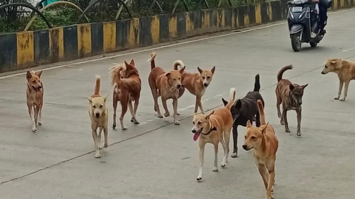 Chhattisgarh,strict measures,ensure student safety,college campuses