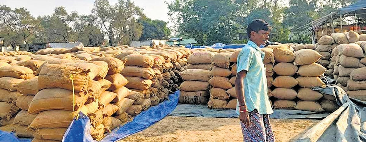 Balod,Authorities crack,illegal paddy,procurement