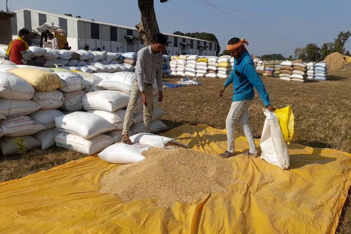 Balod,Authorities crack,illegal paddy,procurement