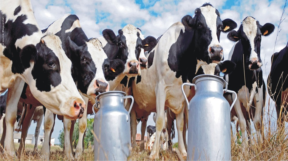 Raipur ,A dairy owner , n Raipur , fined Rs 10,000.