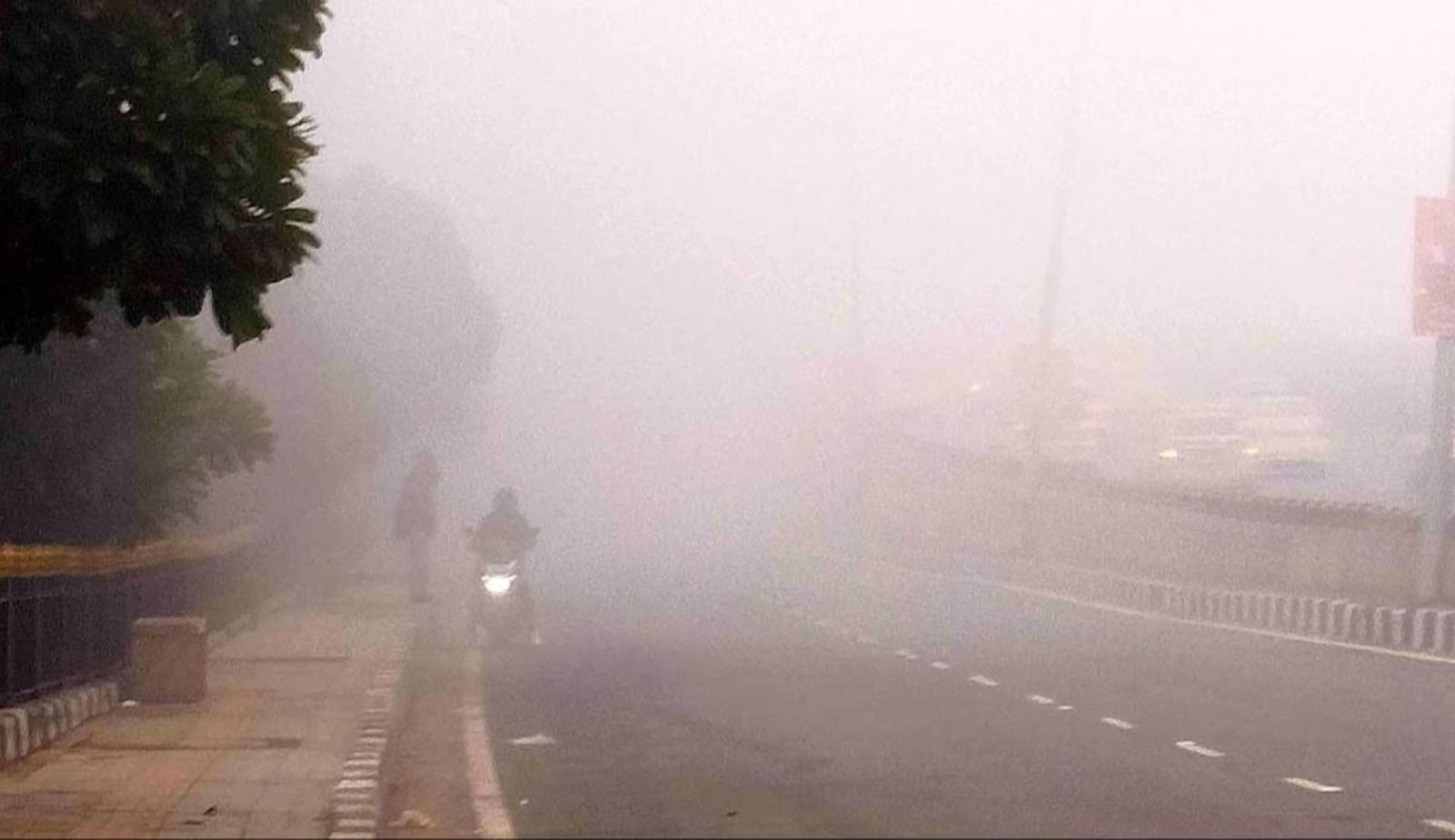 Bhopal , Cold wave , fog grip ,Madhya Pradesh