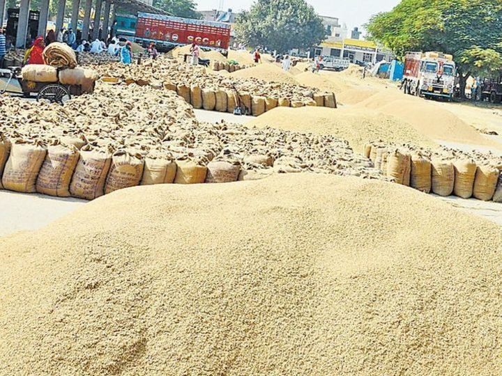 Raipur ,AI ,  enter paddy procurement, digital check , irregularities