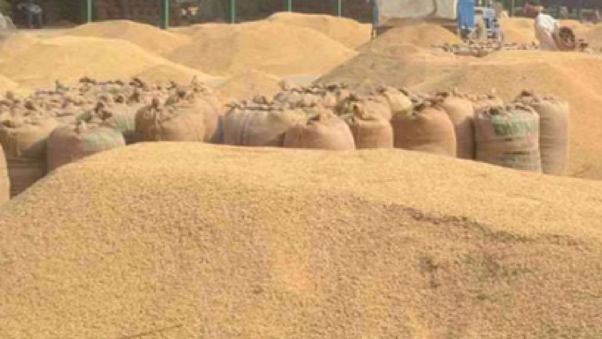  farmers, Chhattisgarh , paddy procurement, time,February 6