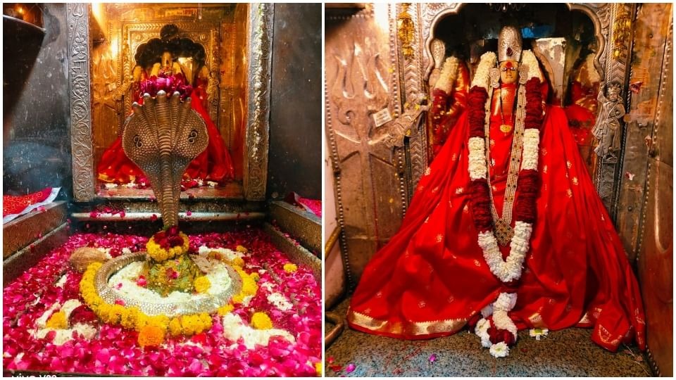 Omkareshwar , 24-hour , darshan ,Mahashivratri: Jyotirlinga , decorated,  flowers