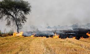 Strict action, against,  stubble ,burning, fine, Rs 30,000 , imprisonment