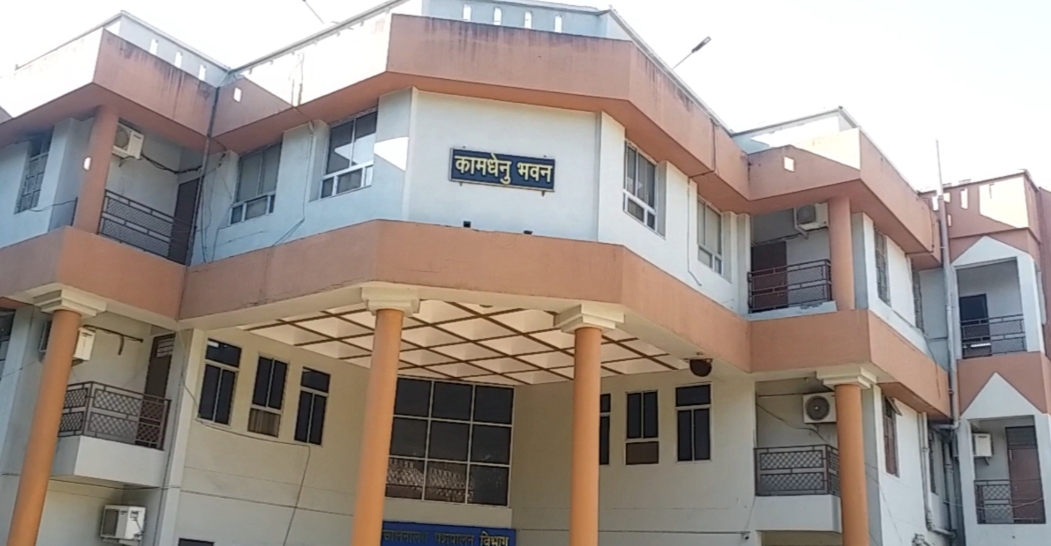 मुख्यमंत्री डॉ मोहन यादव 