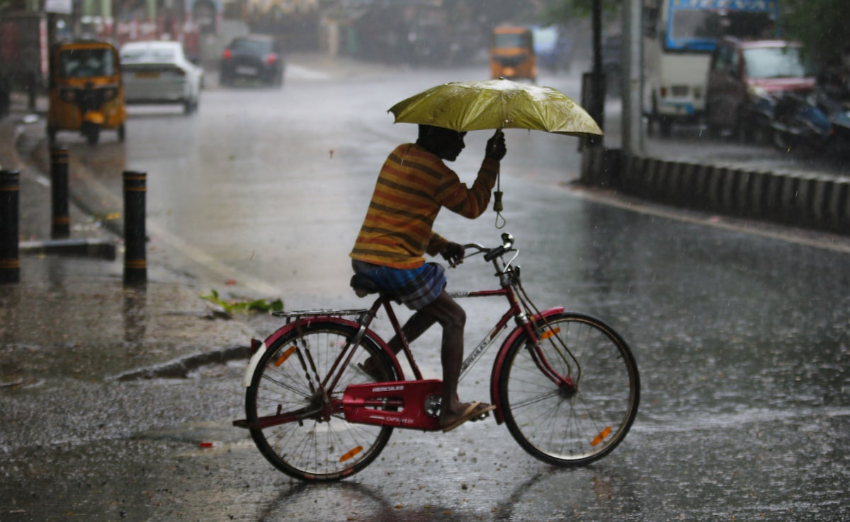  Monsoon to become active again in Chhattisgarh; yellow alert issued for 9 districts