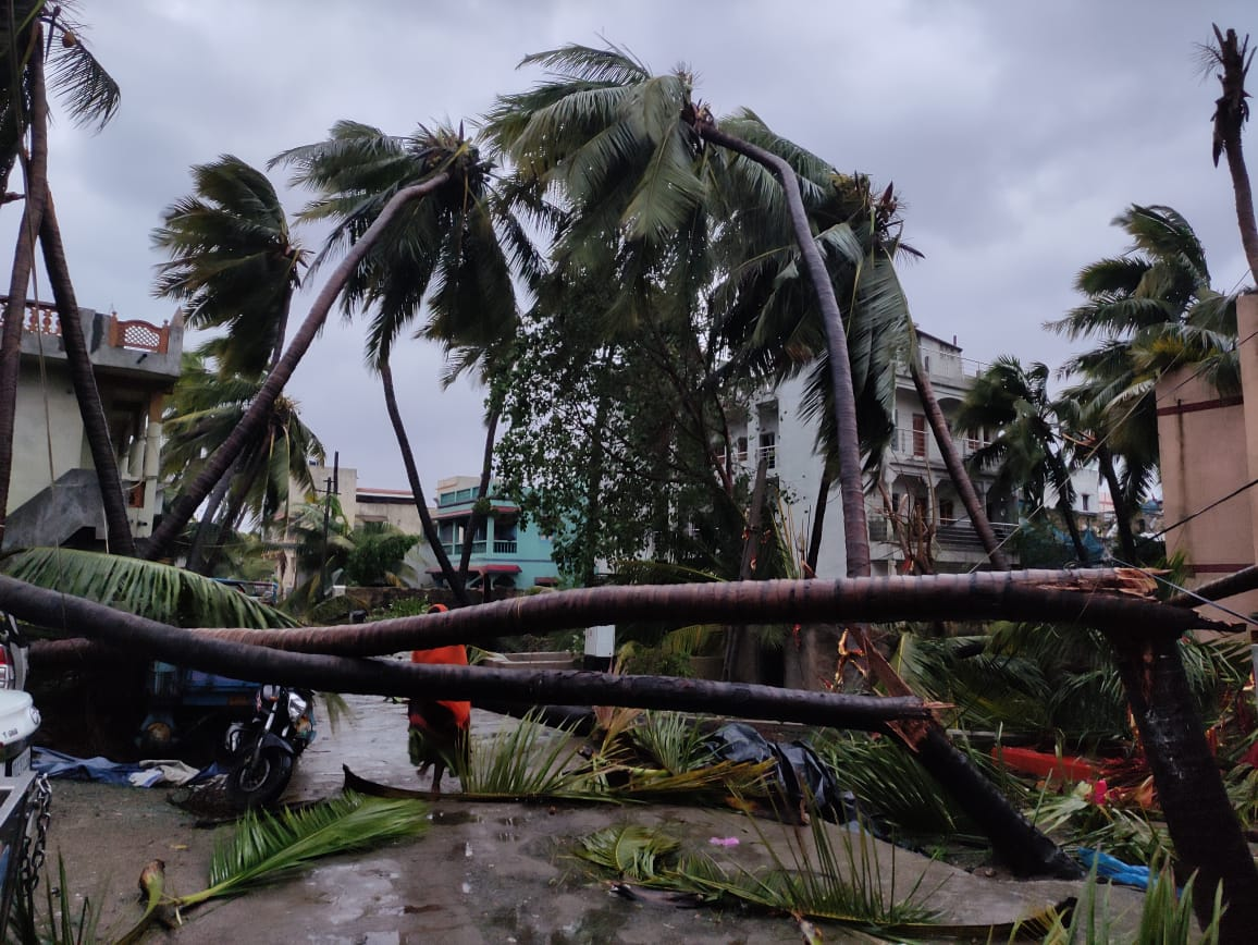   Cyclone arnab makes landfall; heavy rains and strong winds lash Andhra and Odisha.