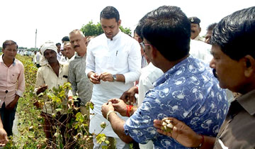   SACHIN YADAV