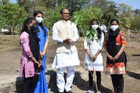 bhopal,Chief Minister Chouhan, planted Karanj , Saptparni saplings 