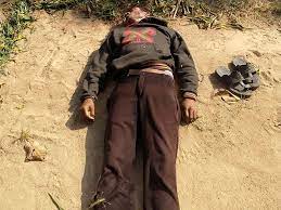 dantewada, Naxalites killed, Sarpanch 